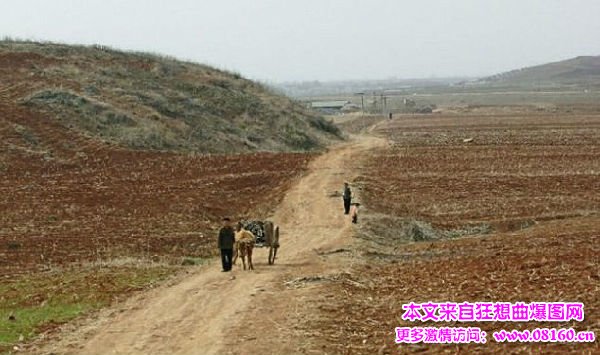 韩国与朝鲜的生活差距，朝鲜为什么骂中国是狗