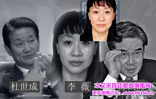 高官的情妇哪个最漂亮，落马高官哪个情妇最多