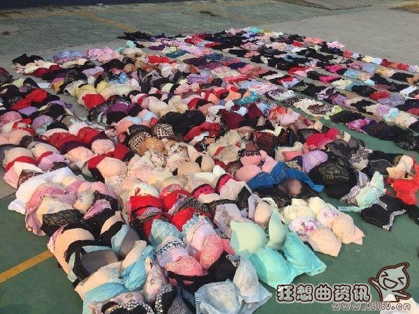 男子变态偷600件女性内衣，男子偷女性内衣心理家是怎么评价的