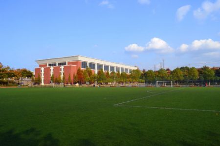 武汉科技大学城市学院排名2015独立学院排行第8名