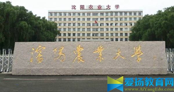 沈阳农业大学校门