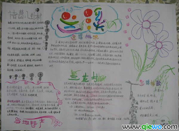 小学植物手抄报作品