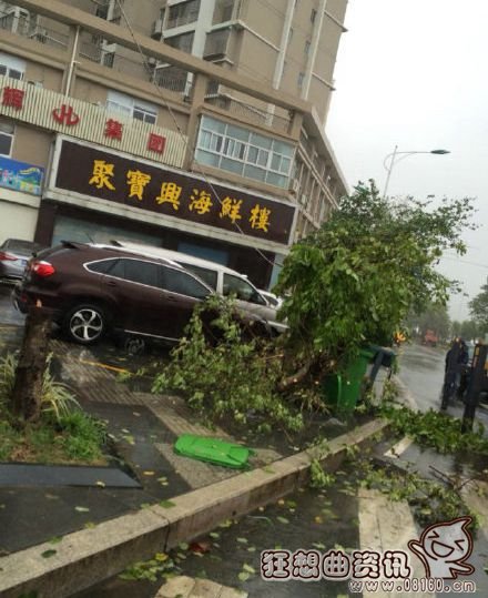 比较台风与龙卷风不同点，龙卷风和台风有什么区别？