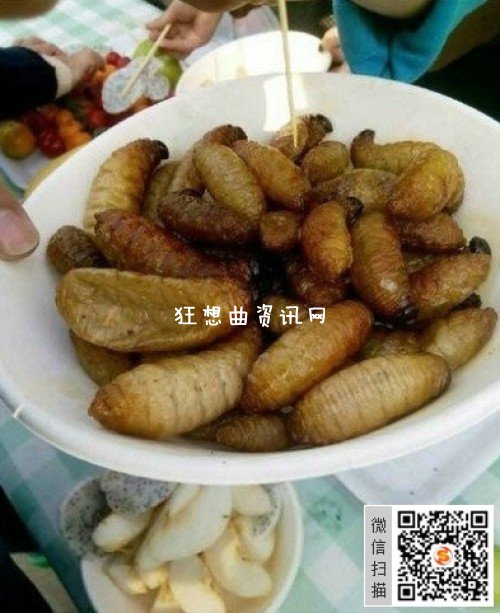 大学昆虫宴：大学昆虫宴口菜谱图片一般人的口味受不了啊