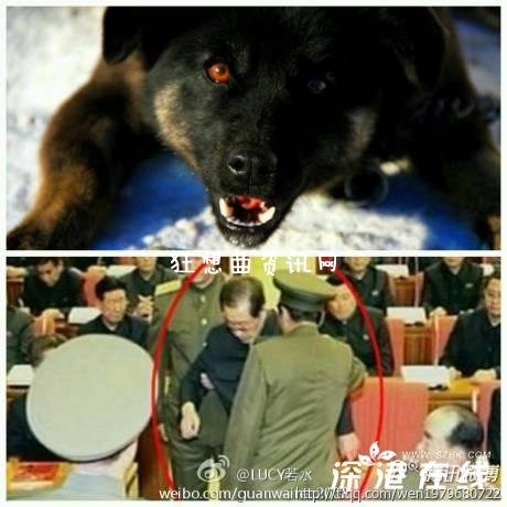 张成泽被犬决 张成泽怎样被处决的?传金正哲抓张成泽犬決