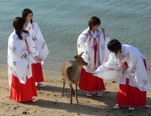 中国留学生最多的城市，日本吸引中国留学生留学的因素！