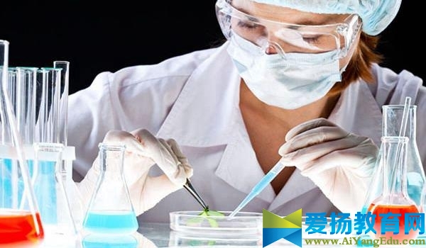 生物医学工程专业