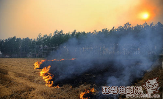 不要老拿烧秸秆来为难农民，如何解决烧秸秆问题？