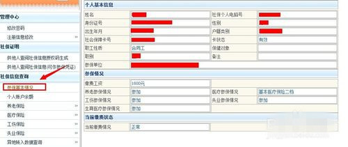 深圳社保个人账户怎么查询