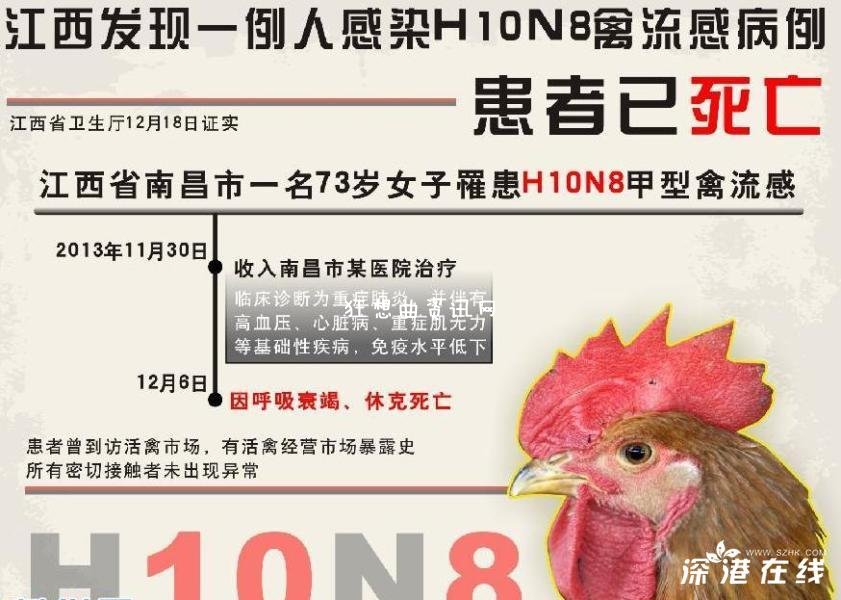 进击的禽流感：进击的禽流感H10N8已致人死亡