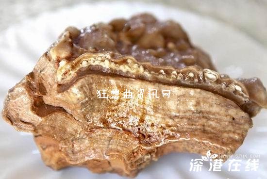 肉石宴：河南藏家摆肉石宴 “红烧肉”竟是石头(图)