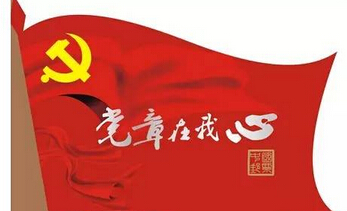 学习中国共产党章程的心得体会