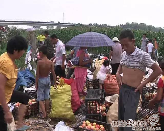 20吨苹果遭到村民集体哄抢，国民素质低下的原因是什么