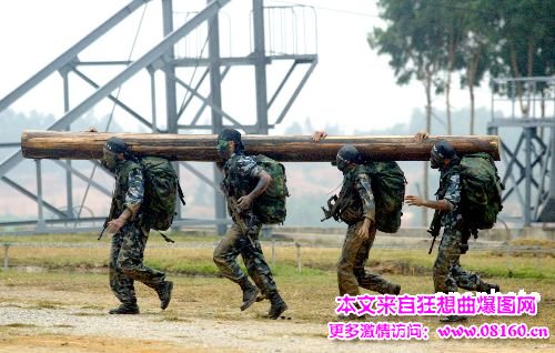 中国最精锐的海军陆战队，中国海军陆战队在世界的排名