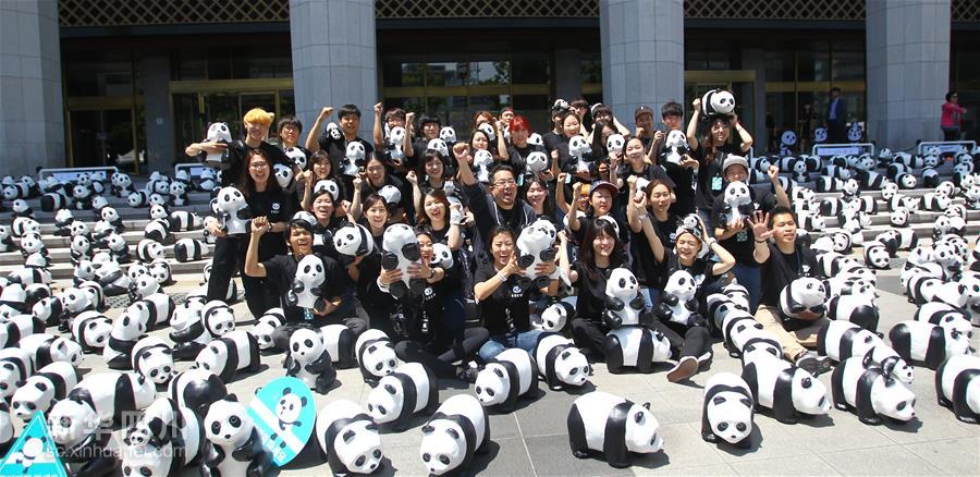 大熊猫在日本遭到民众围观，中国大熊猫风靡全球！