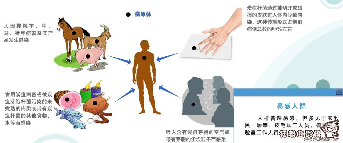 皮肤炭疽传染病疫情陕西，怎么样预防皮肤炭疽