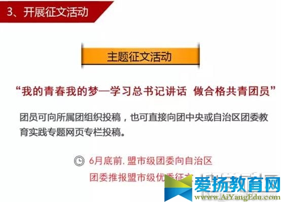 【一学一做】学系列讲话，做合格共青团员