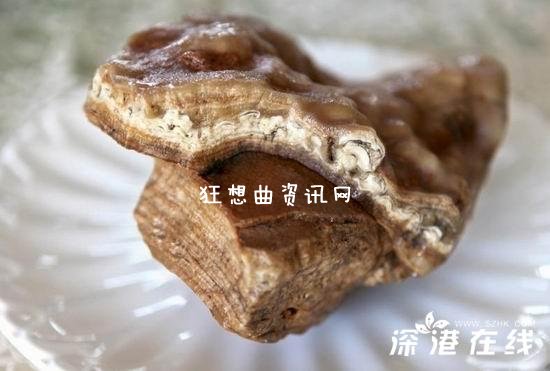 肉石宴：河南藏家摆肉石宴 “红烧肉”竟是石头(图)