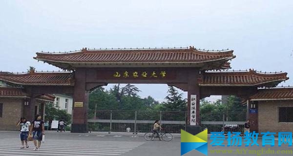 山东农业大学校门