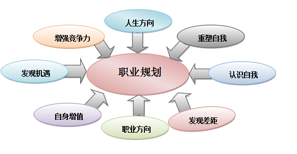 2016会展艺术与技术专业大学生职业生涯规划书