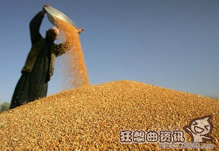 中国粮食危机全面爆发，中国大多数粮食进口引关注