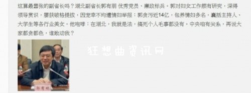 湖北副省长郭有明情妇,湖北省副省长郭有明情人