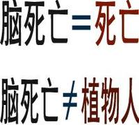 脑死亡还能活几年，脑死亡其实就是真正的死亡