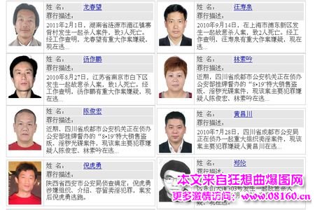 公安部追逃通缉犯2014，2016年网上追逃名单