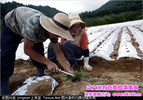 为什么中国人怕日本,中国人在日本打工工资