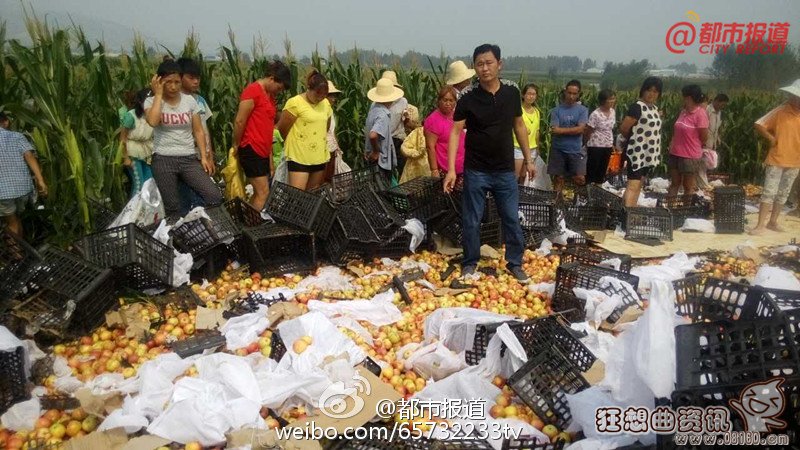 20吨苹果遭到村民集体哄抢，国民素质低下的原因是什么