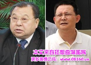 河南被查厅级官员名单,河南最近官员被查