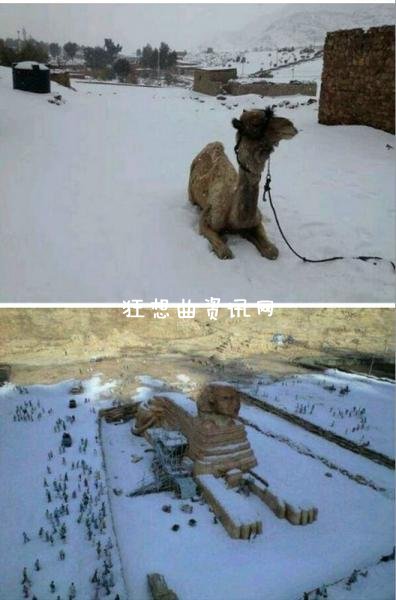 受亚历克莎暴风雪影响 开罗112年来首次下雪(图)