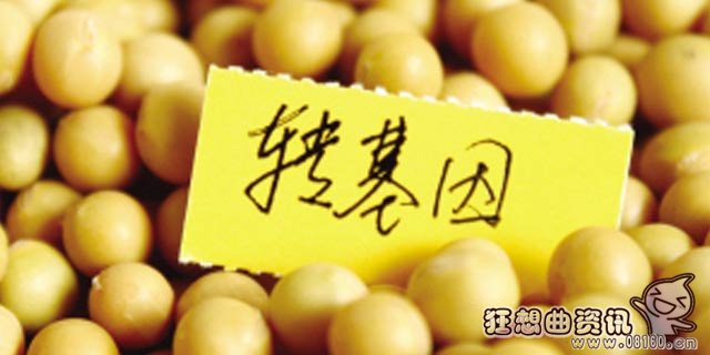 吃转基因大豆有什么害处？转基因大豆的危害介绍