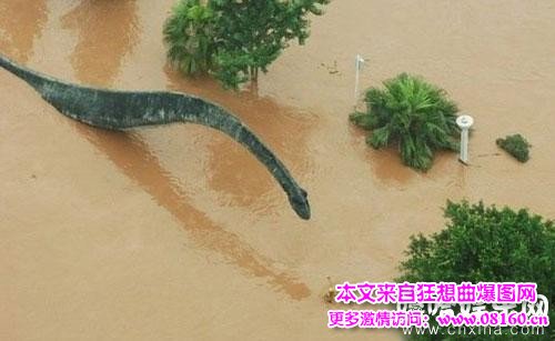 河南台风暴雨后现龙，市民拍下真实影像！