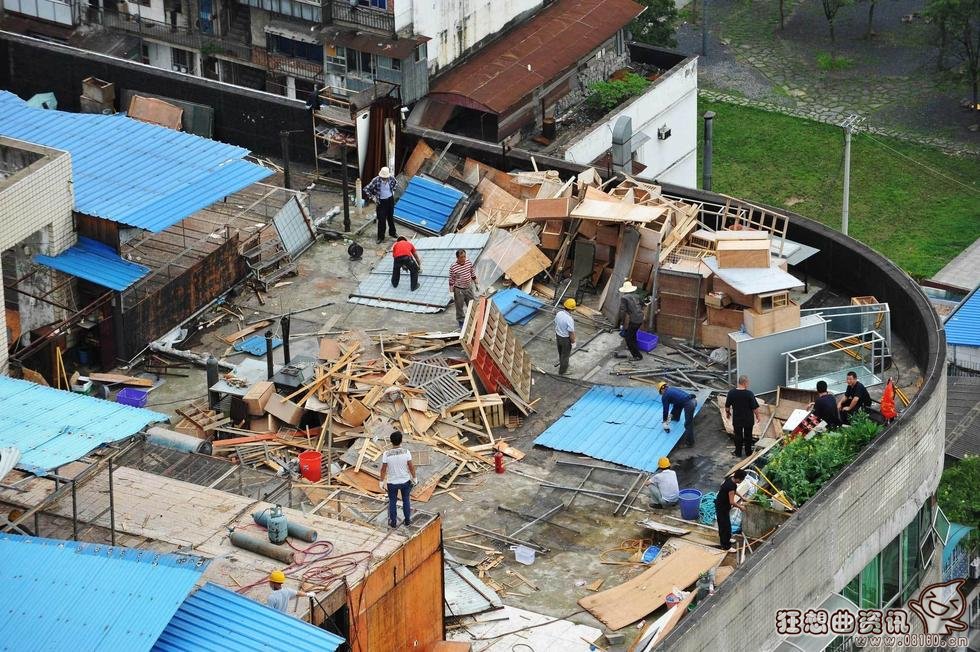 中国史上最牛的赛鸽鸽舍图，赛鸽的饲养与管理方法