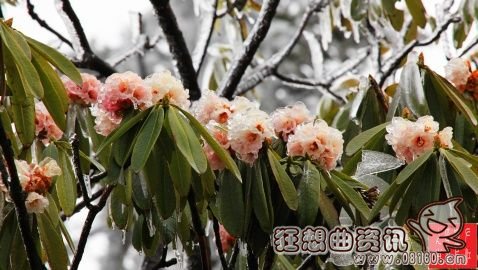 峨眉山徒步登山线路图，春末夏初四大线路游峨眉