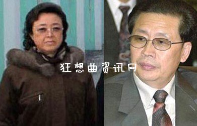 张成泽为什么被革职张成泽与金正恩恩怨情仇张成泽同党是谁？