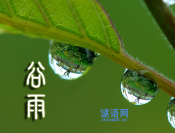 谷雨的诗句