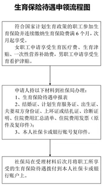 职工生育保险待遇申领流程