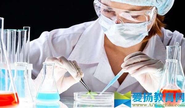 生物医学工程专业