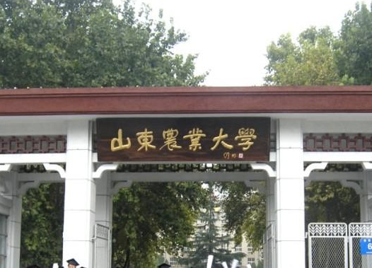 山东农业大学好不好评价怎么样