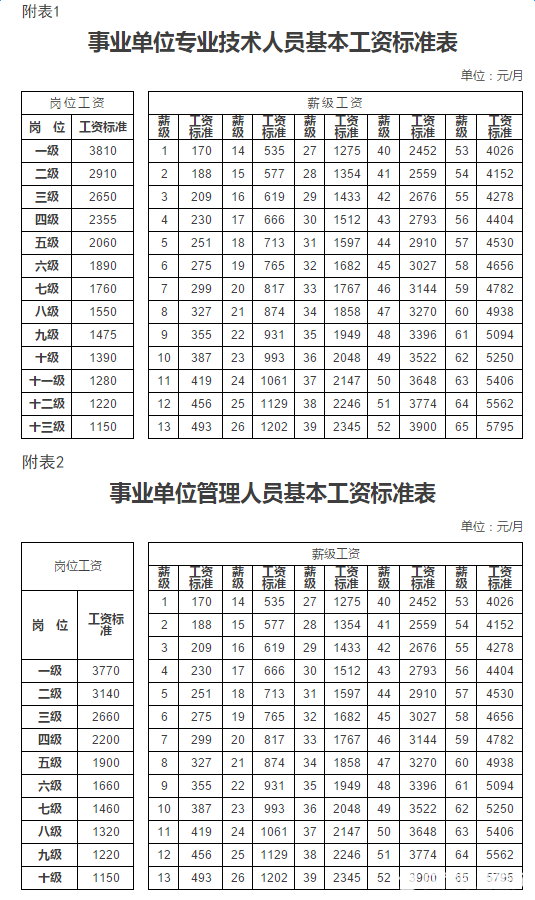 事业单位专业技术人员基本工资标准表