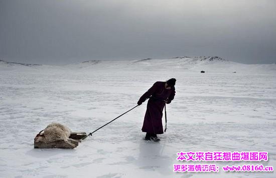 蒙古国的女人生活现状，蒙古国百姓的真实生活