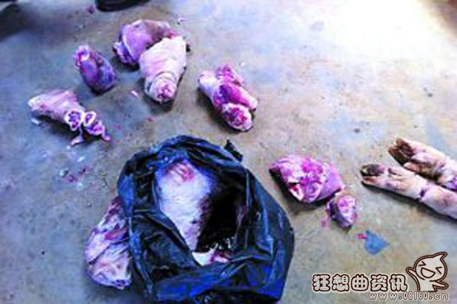 地下黑作坊用病死猪肉，“黑心腊肠”流入珠三角