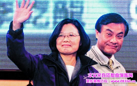 民进党主席蔡英文简历,2016年民进党主席选举