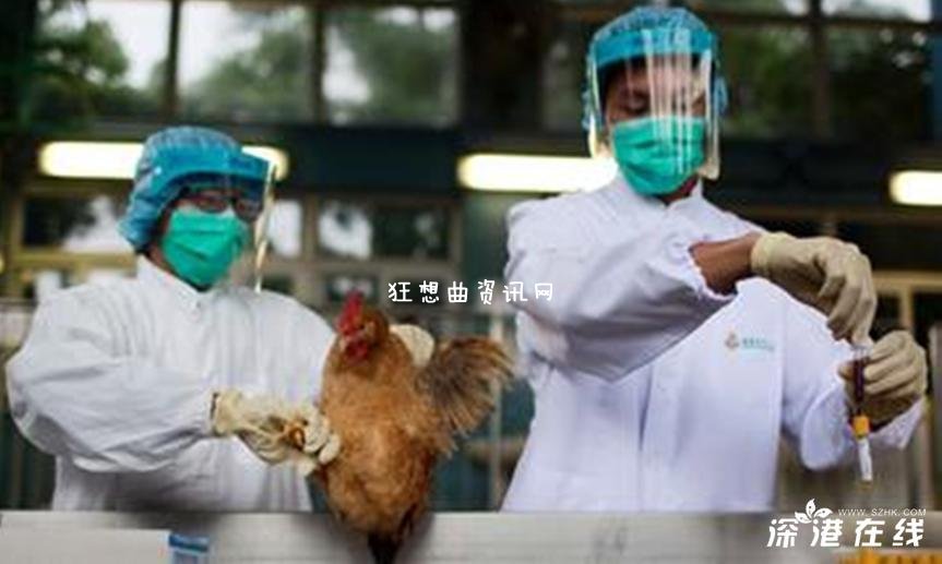 进击的禽流感:H7N9没完H10N8进击的禽流感又来袭