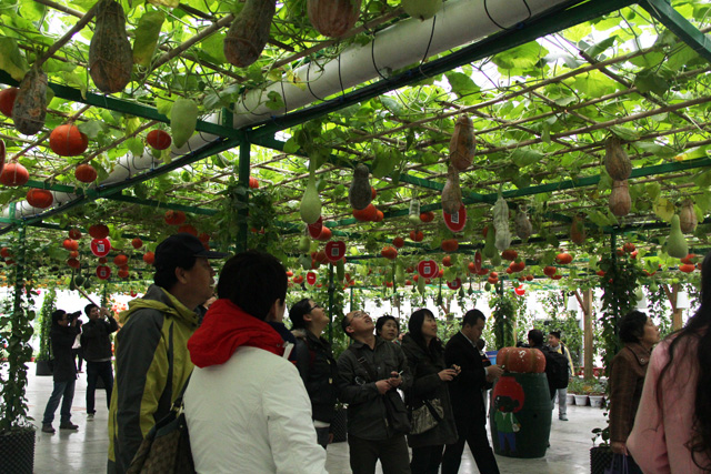 植物科学与技术专业就业方向与就业前景分析2015