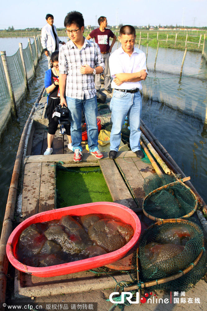 浙江鱼塘现不明水生物，中国水质污染情况严重