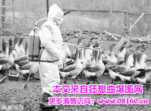 禽流感最新消息2014,h5n6禽流感最新消息