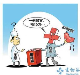 非法买卖人体的器官会判刑吗？器官可以随便移植吗